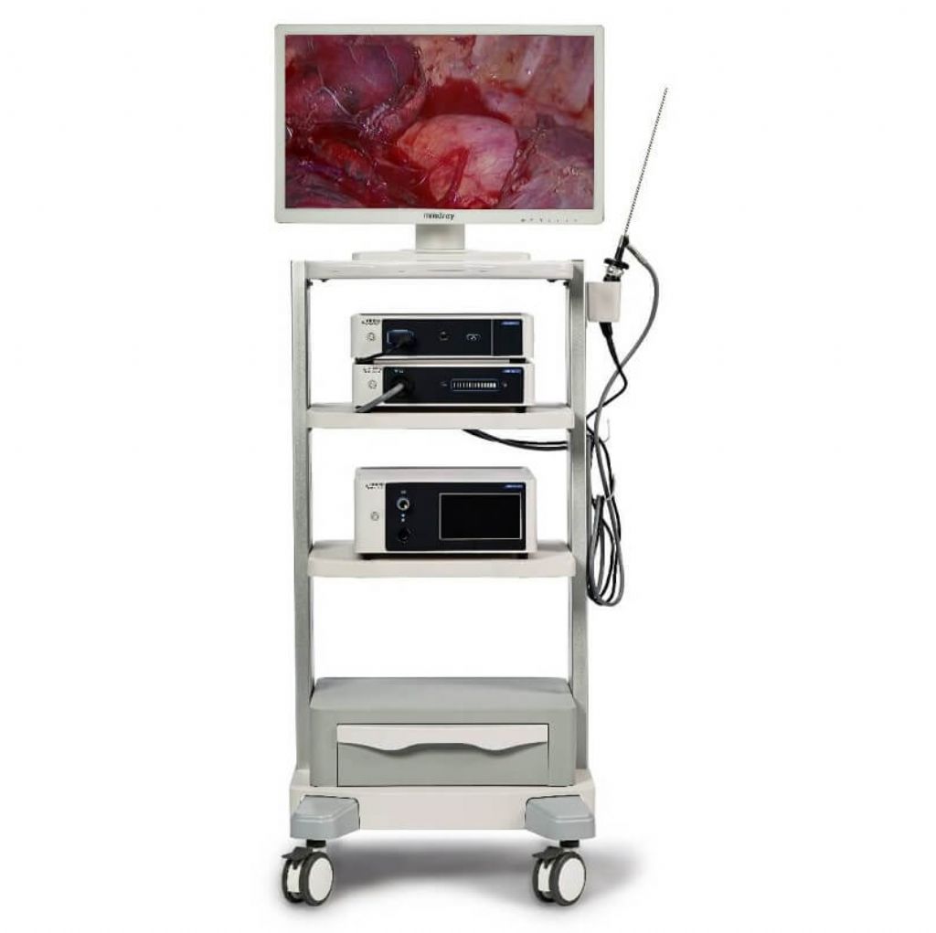 MINDRAY VETINA 3 CS3 ENDOSKOPİ SİSTEMİ